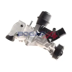 C4234138 BOGAP