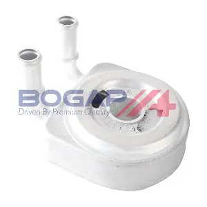 P4222100 BOGAP