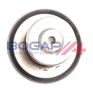 BOGAP V4245102