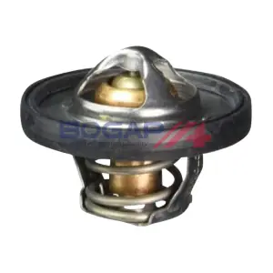 BOGAP W4245101