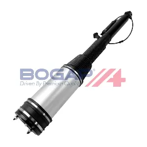 C3426124 BOGAP