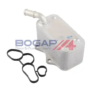 A4222110 BOGAP