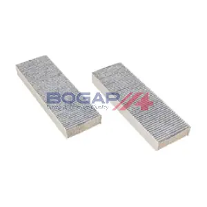 P8112133 BOGAP