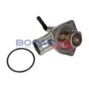 G4234108 BOGAP