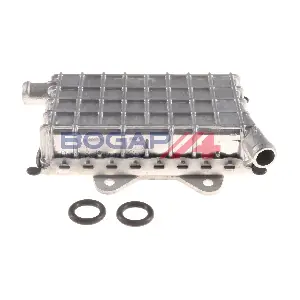 BOGAP C4222102