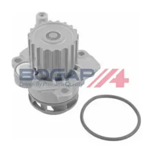 A4234130 BOGAP