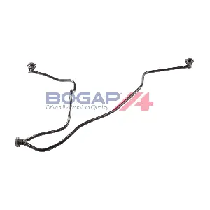 C4255117 BOGAP