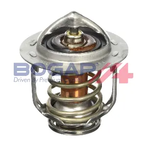 T4245108 BOGAP