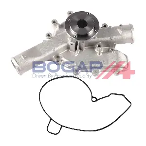 C4234105 BOGAP