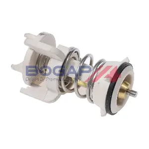 A4245169 BOGAP