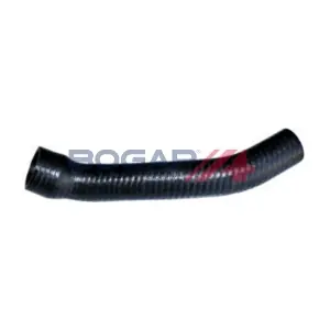 BOGAP A1711330