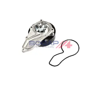 H4234100 BOGAP