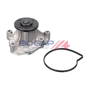 C4234162 BOGAP