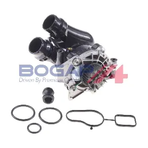 A4234102 BOGAP