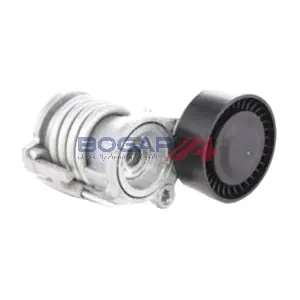 A1317163 BOGAP