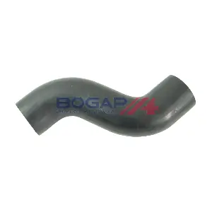 C1711135 BOGAP