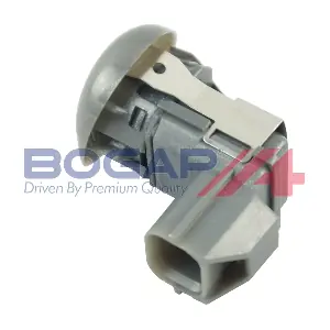 P7119105 BOGAP