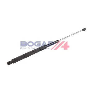 BOGAP C5134110