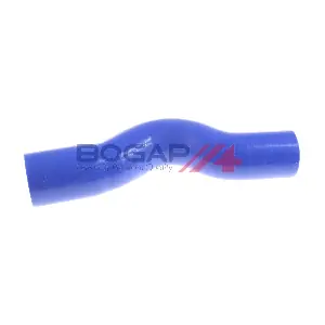 BOGAP F1711119