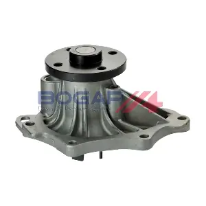 T4234121 BOGAP