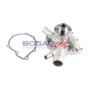 C4234129 BOGAP