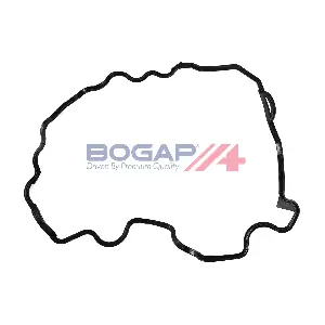 BOGAP C1118104