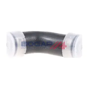 C1711130 BOGAP