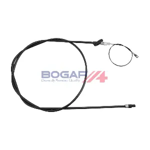C3126109 BOGAP