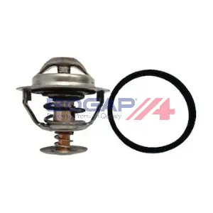 BOGAP P4234116