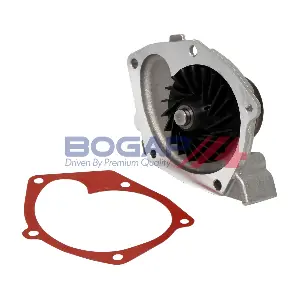 R4234109 BOGAP