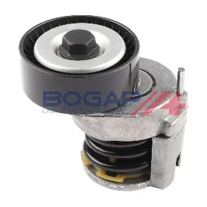 BOGAP A1317119