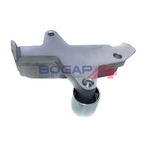 A1317130 BOGAP