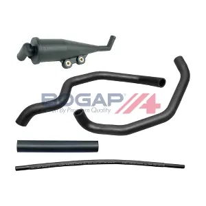 B1217108 BOGAP