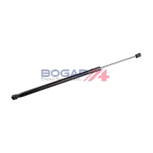 C5134166 BOGAP