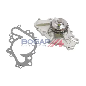 W4234113 BOGAP
