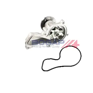 H4234102 BOGAP