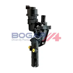 C4245139 BOGAP