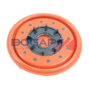 B1116116 BOGAP