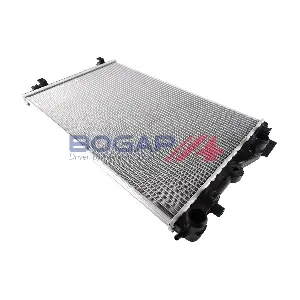 A4210284 BOGAP