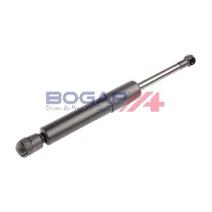 C5134177 BOGAP
