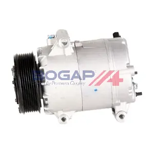 R4110124 BOGAP