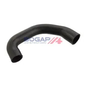 C4228404 BOGAP