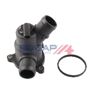 C4245119 BOGAP