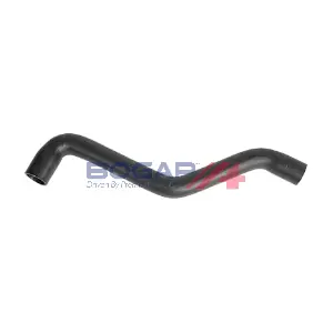 A4228574 BOGAP