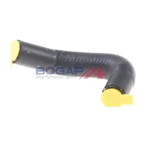 A4228314 BOGAP