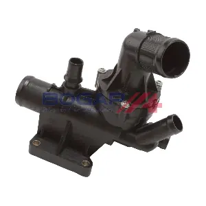 C4246100 BOGAP