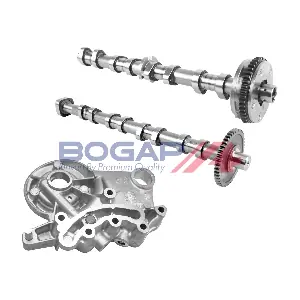 A1339107 BOGAP