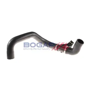 C1711159 BOGAP