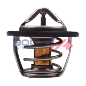 W4245109 BOGAP