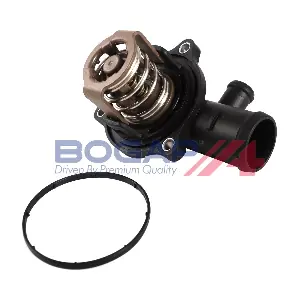 A4245134 BOGAP
